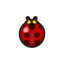 Ladybug